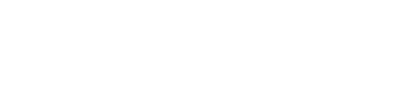 Local Liquidators Logo